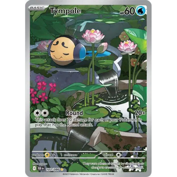 Scarlet & Violet - Black Bolt 103/086 - Tympole [Illustration Rare]