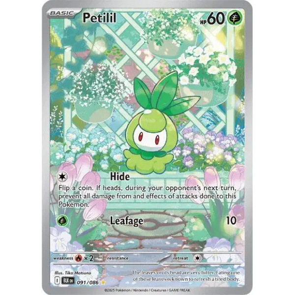 Scarlet & Violet - Black Bolt 091/086 - Petilil [Illustration Rare]